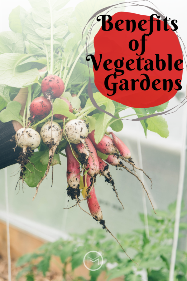 benefits of vegetable gardens