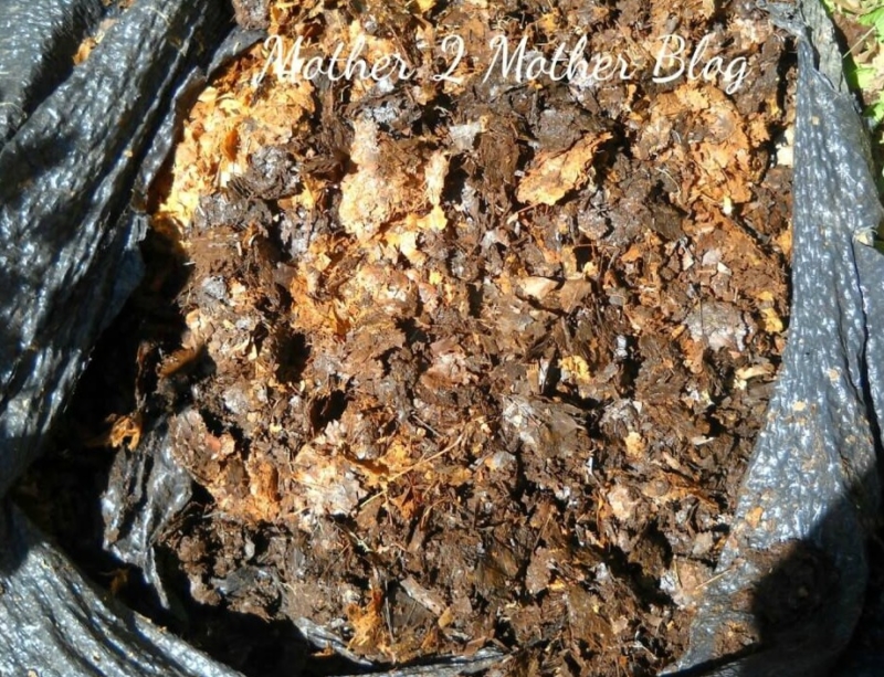 composting leaves for beginners 