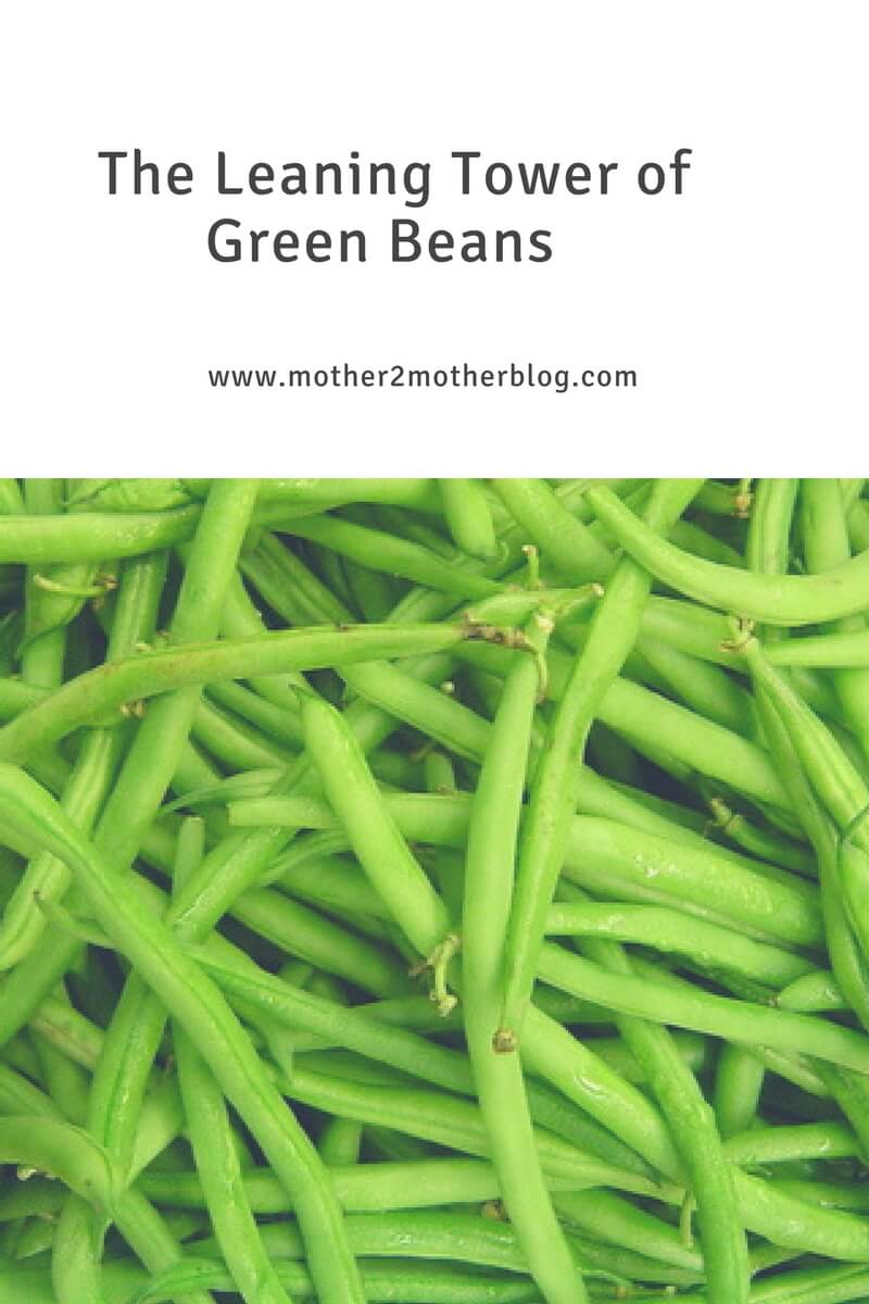 green bean trellis support, how to support a green bean trellis