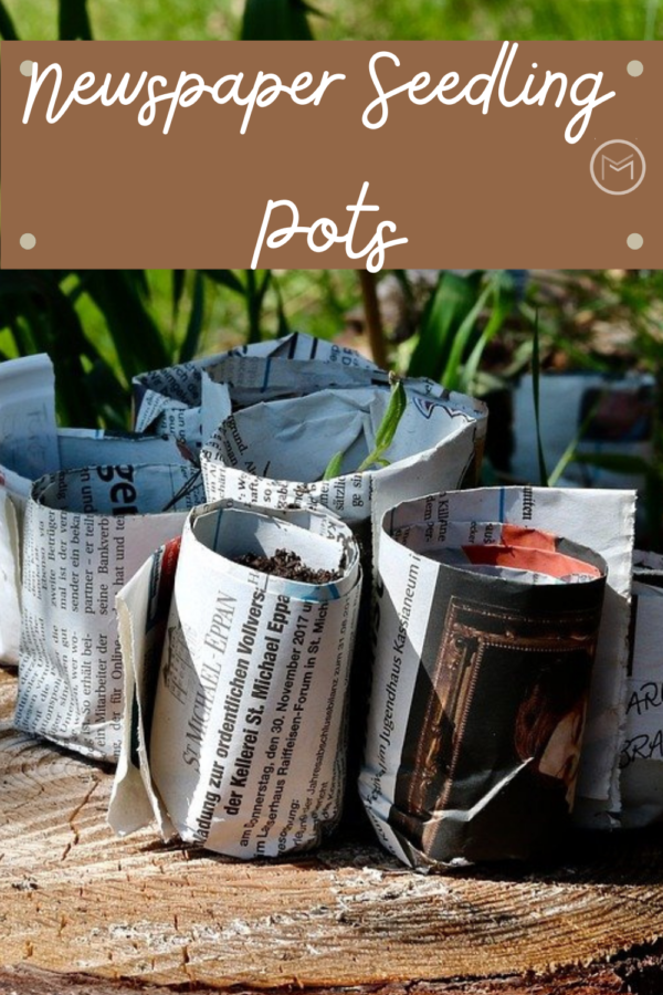 DIY newspaper seedling pots