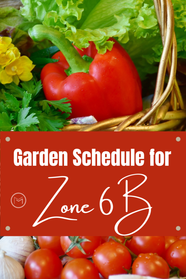 garden schedule for zone 6B