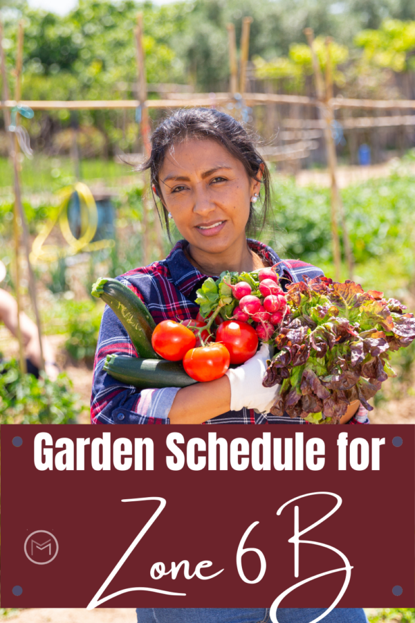garden schedule for zone 6B