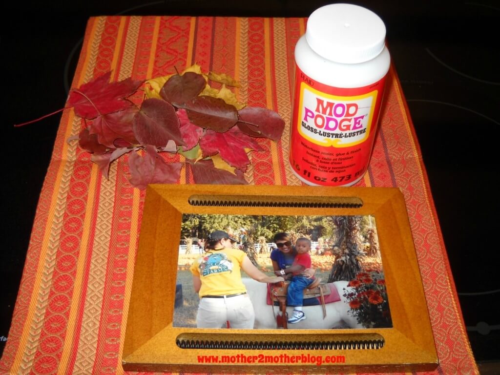 modge podge projects, fall picture frames