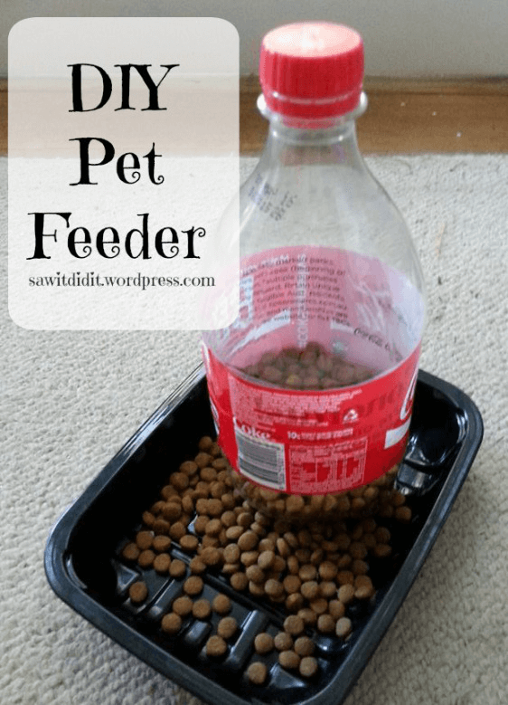 pet ideas, pet feeders, 
