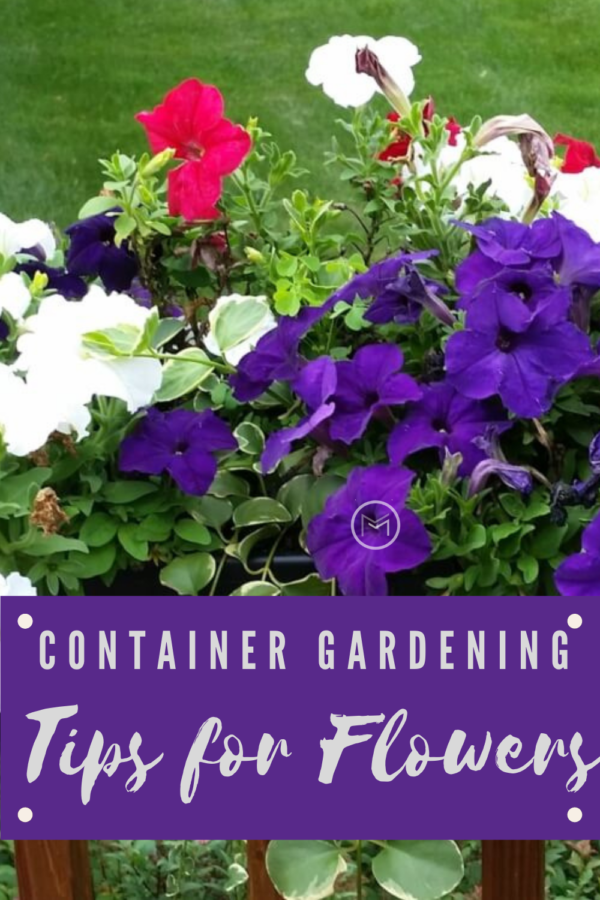 flower container gardening tips
