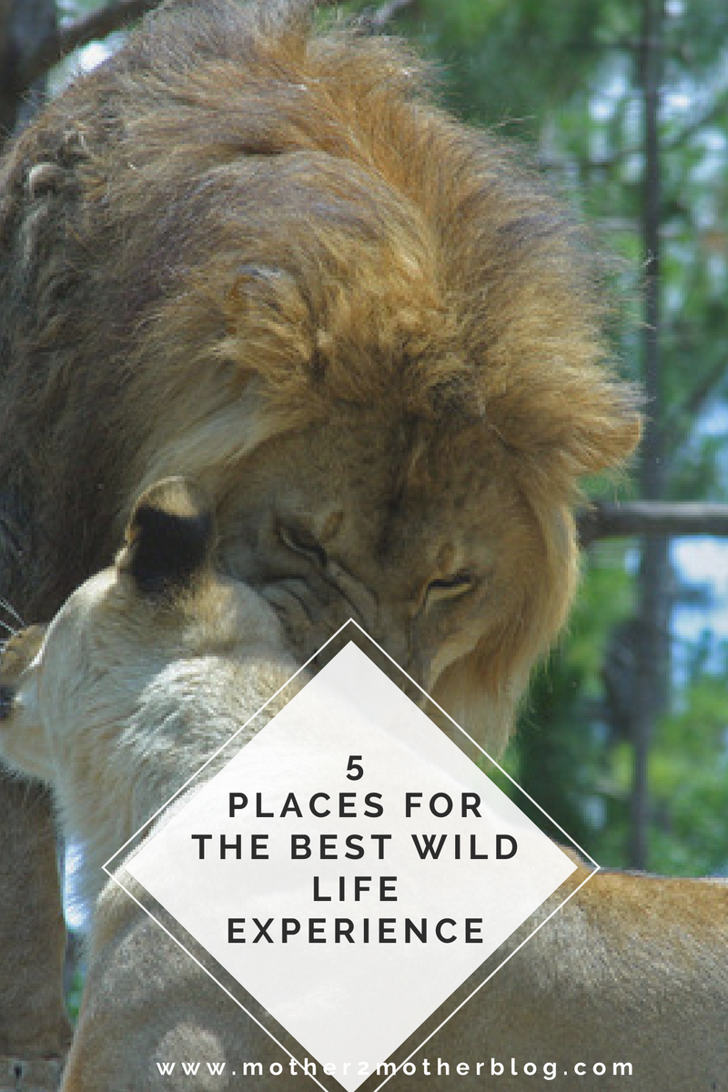 best places for wildlife
