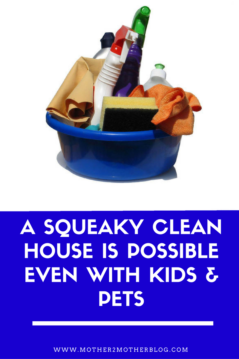 a-squeaky-clean-house-is-possible