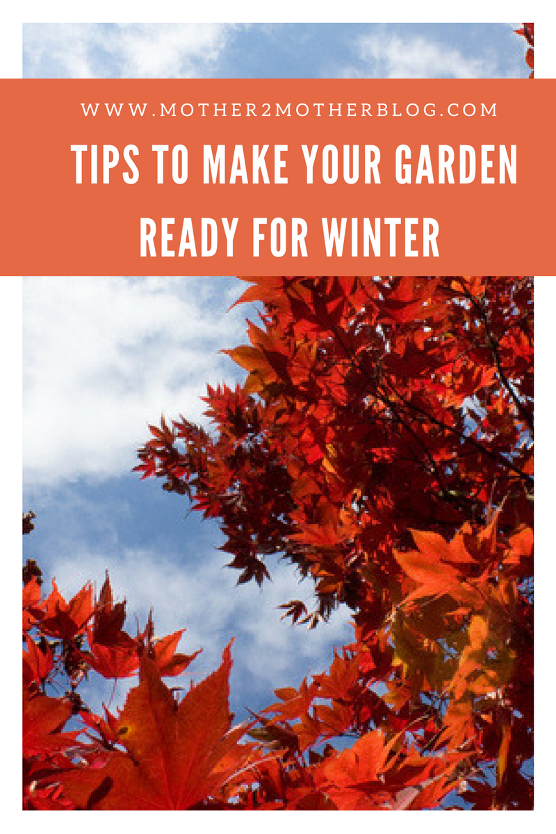 tips to winterize your garden