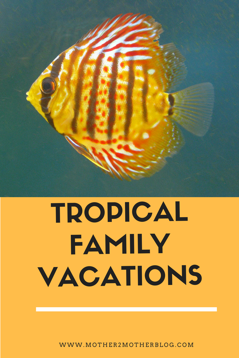 tropical family vacations