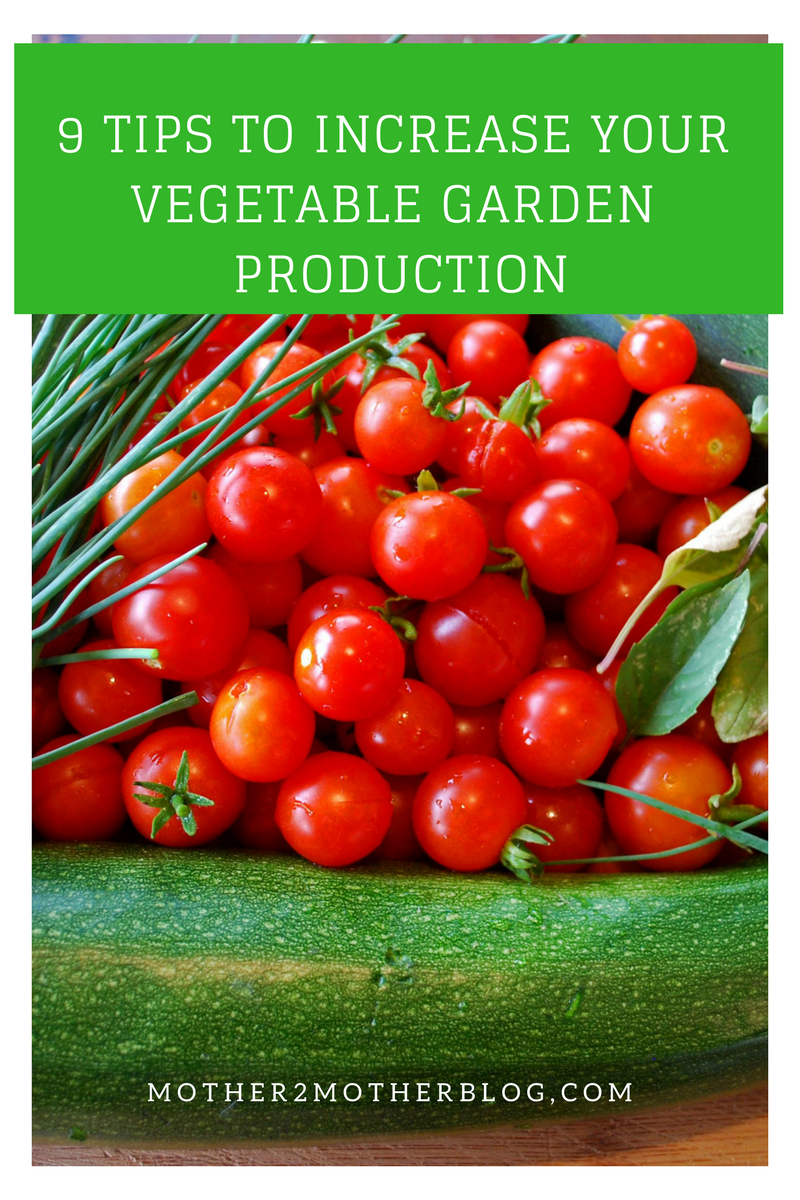 how to increase vegetable garden production