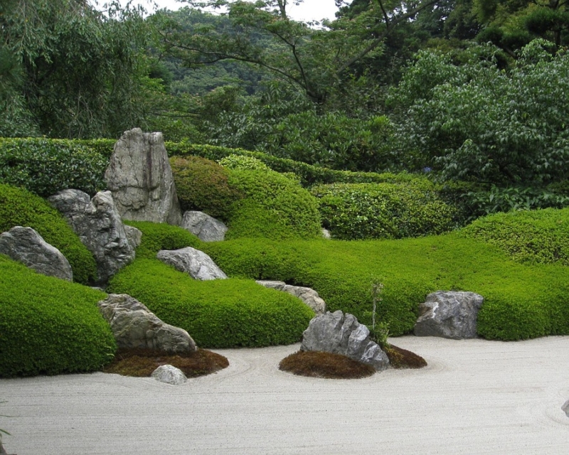 zen garden tips