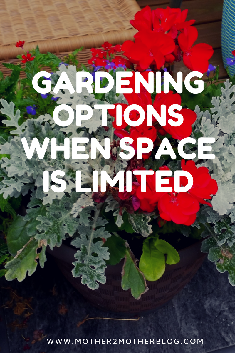 garden options
