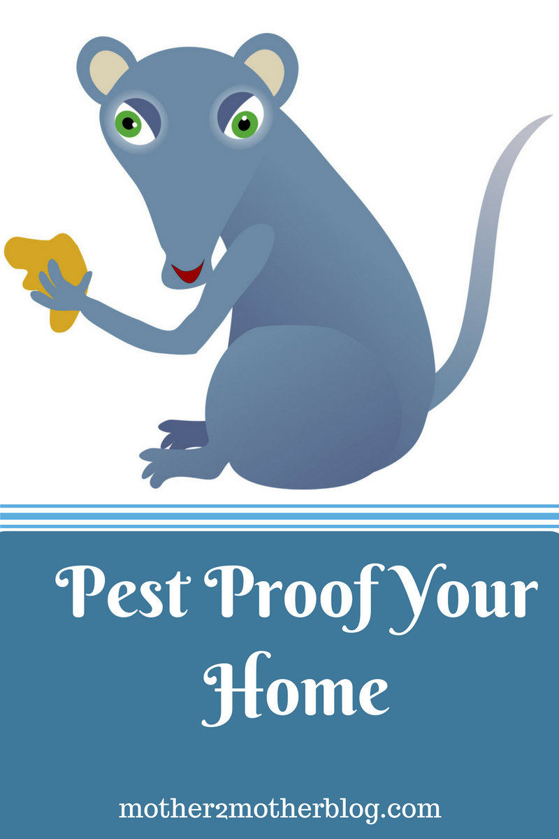 pest proof your home