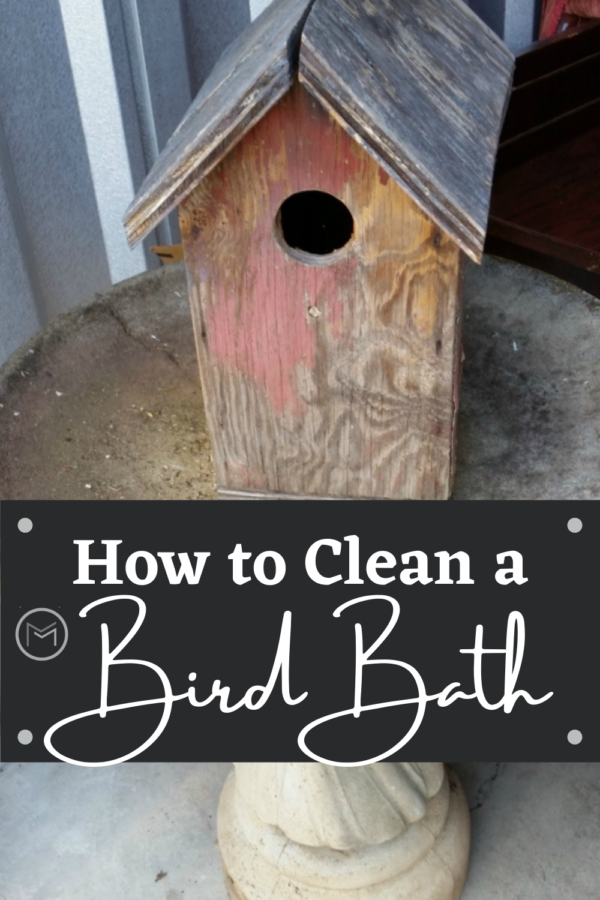 cleaning cement bird baths