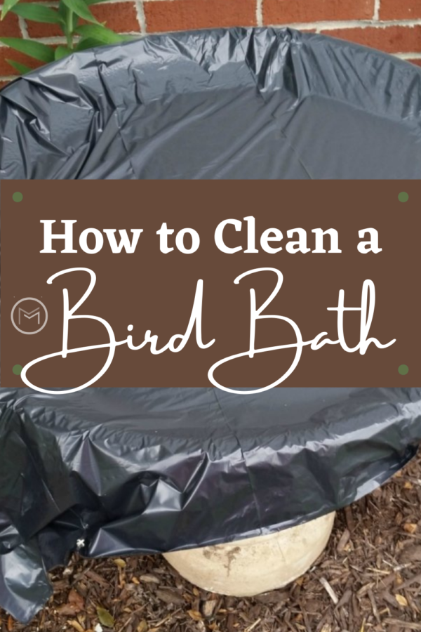 how to clean a cement bird bath