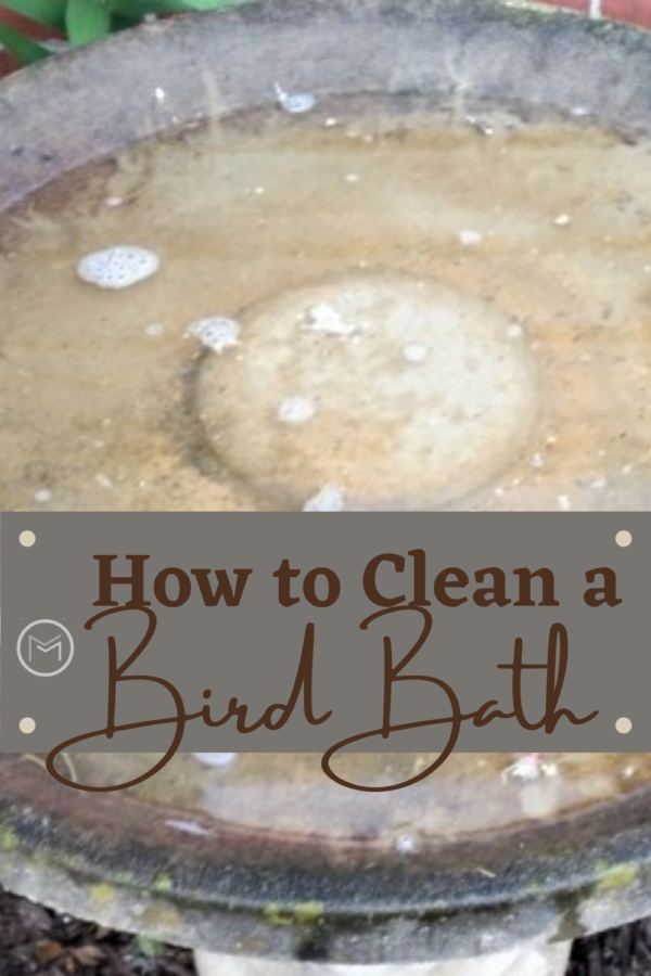 how to clean a bird bath