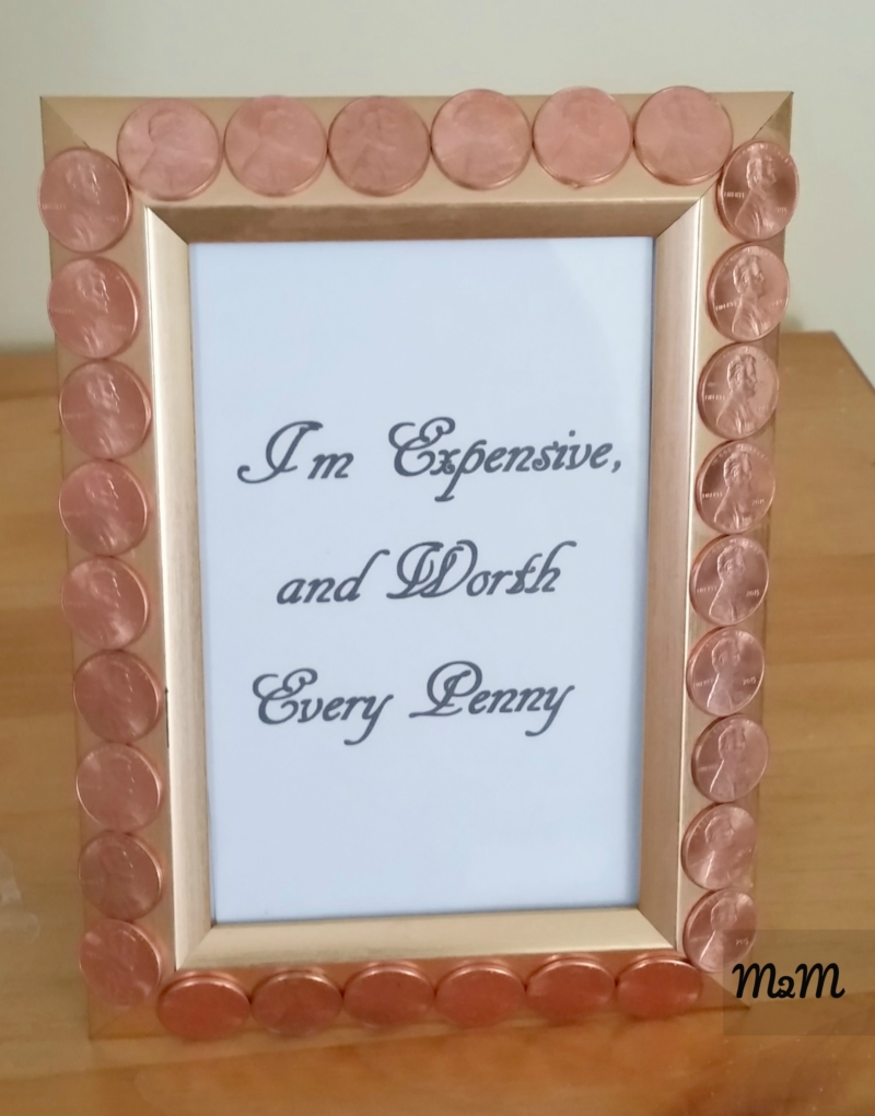 penny embellished frame