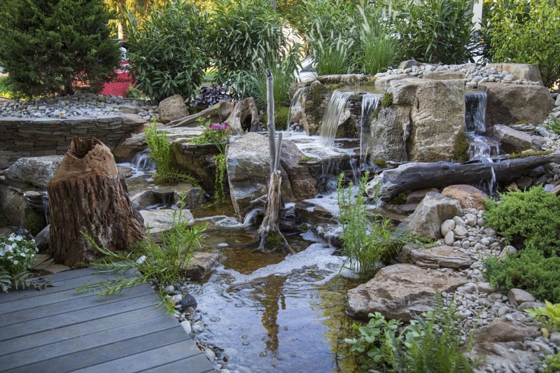 backyard water pond ideas