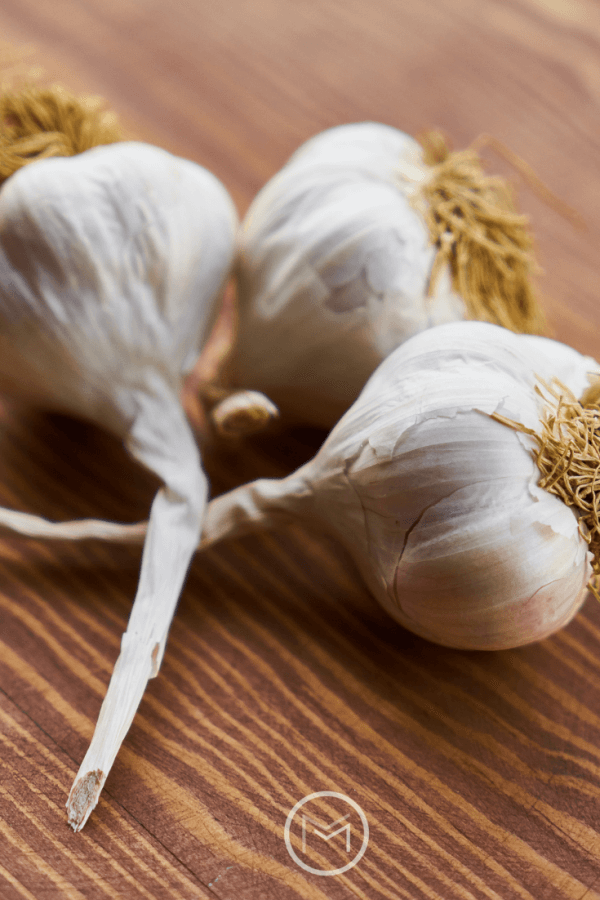 benefits of growing garlic