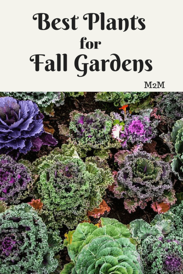 fall gardens