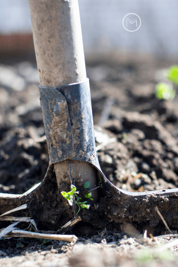 garden soil preparation