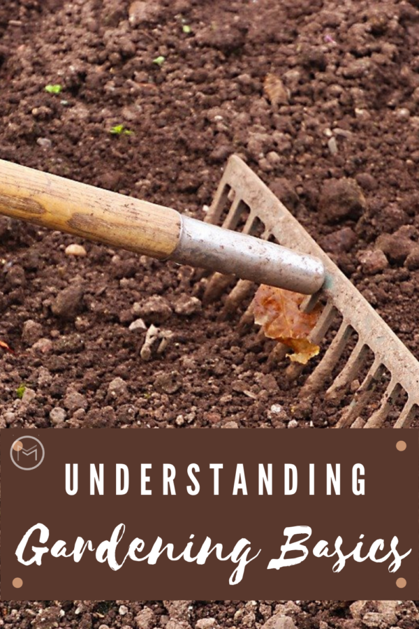 understanding gardening basics