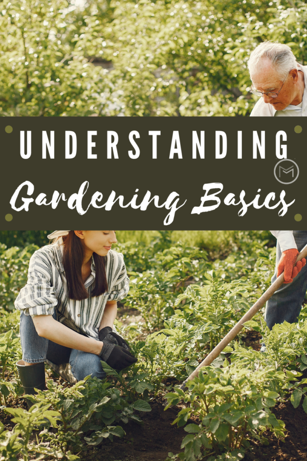 understanding gardening basics