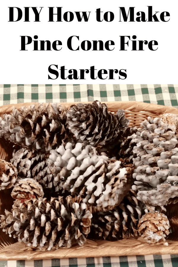 DIY Pine Cone Fire Starters - Mother 2 Mother Blog