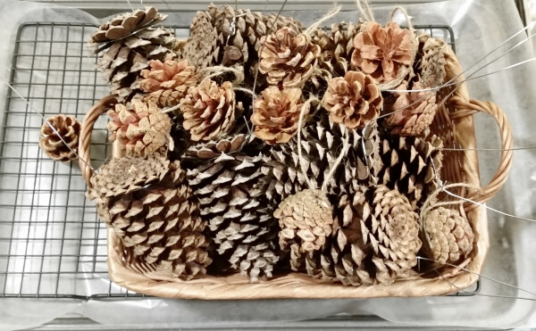 pine cone crafts 