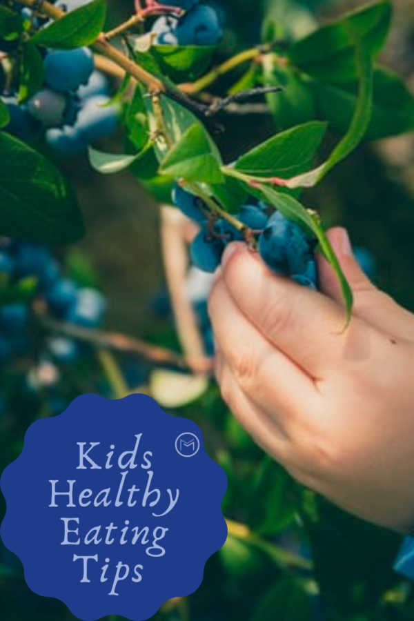 kids healthy eating tips