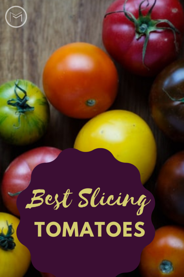 best slicing tomatoes