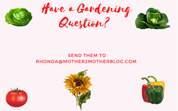 gardening questions