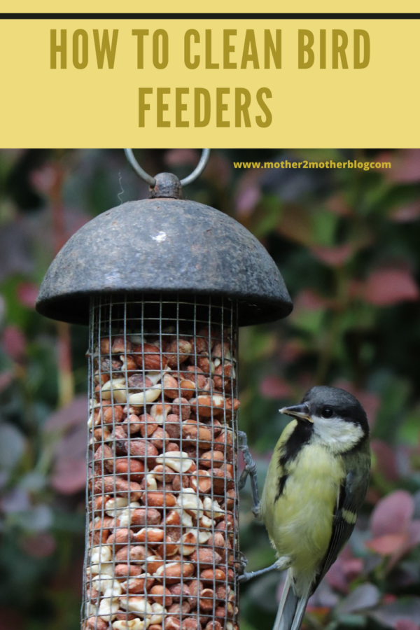 how to clean bird feeders