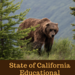 California Educational Activities