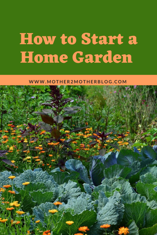 how to start a home garden
