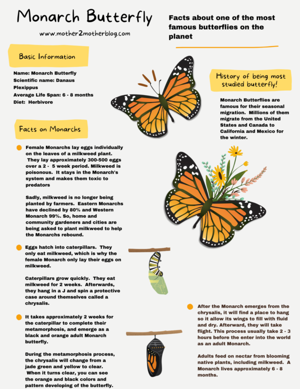 Monarch Butterfly Fact Sheet - Signs of the Seasons: A New England