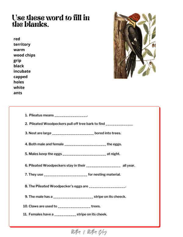 Pileated Woodpecker Facts for Kids