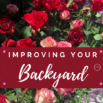 improving your backyard