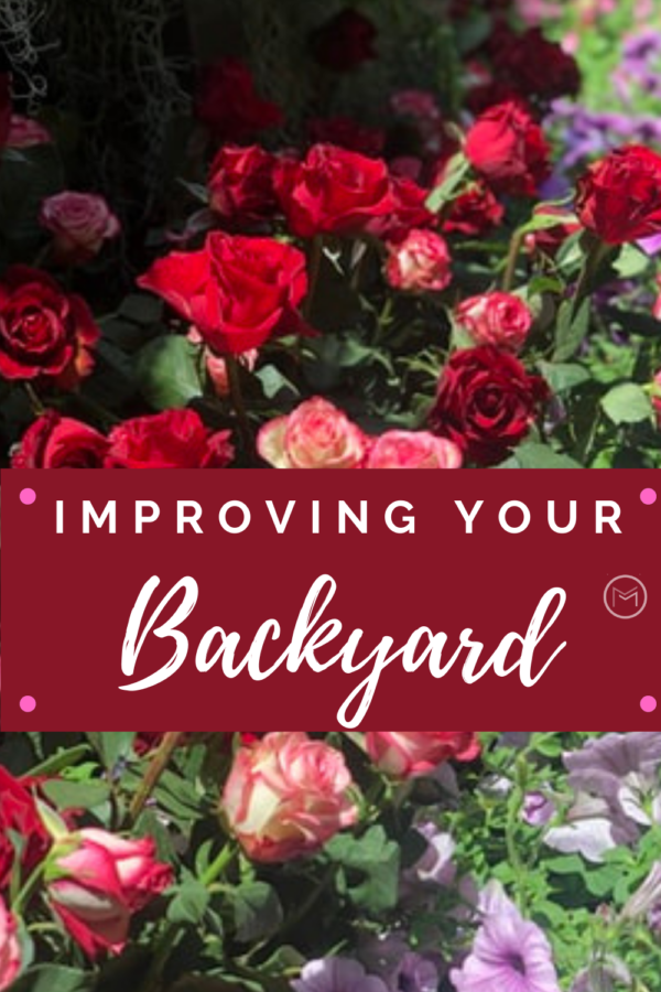 improving your backyard