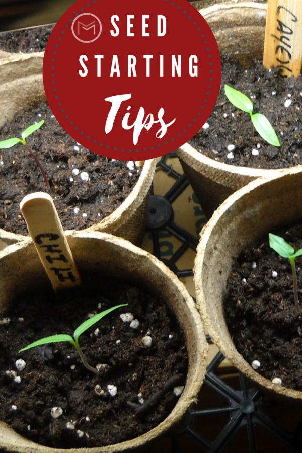 seed starting tips