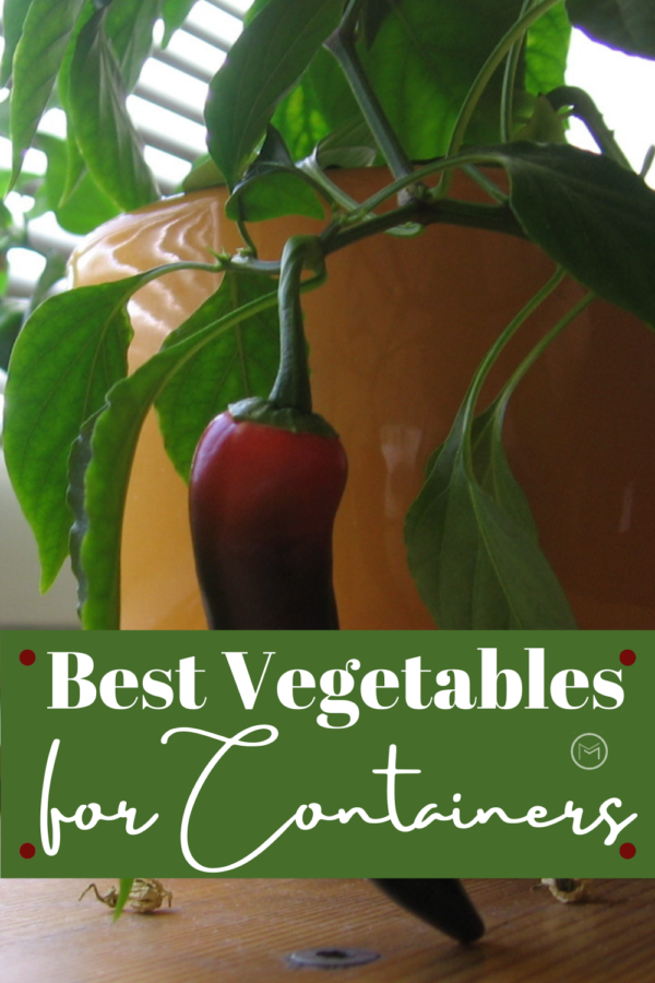best vegetables for containers