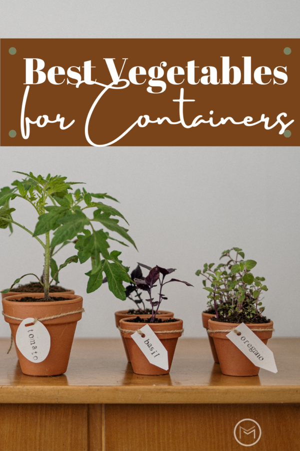best vegetables for containers 