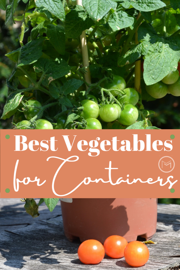 best vegetables for container gardening