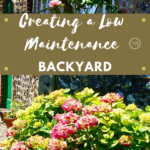 creating a low maintenance backyard