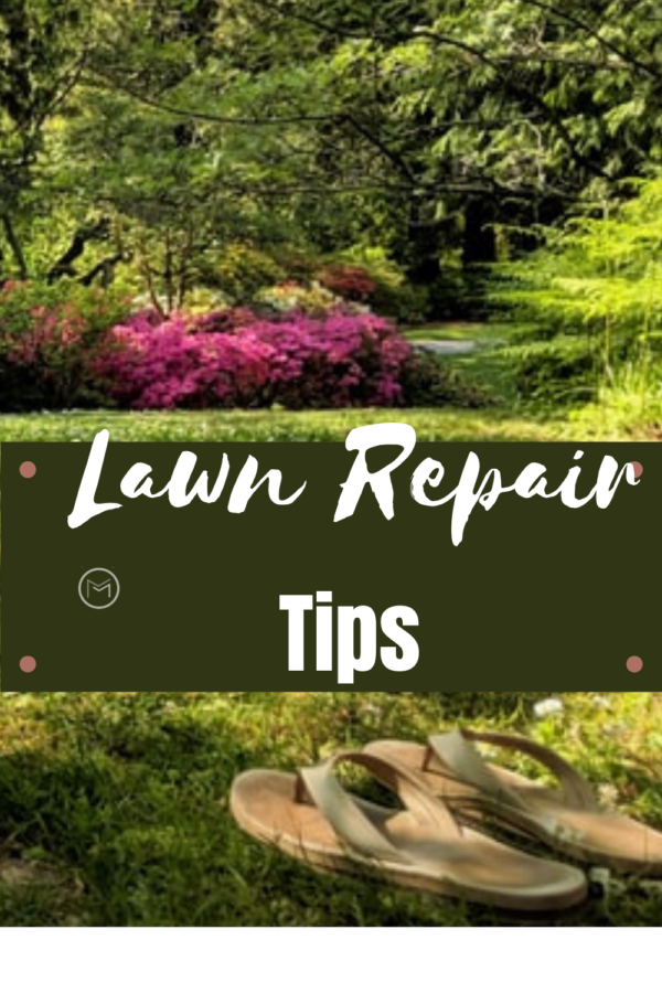lawn repair tips