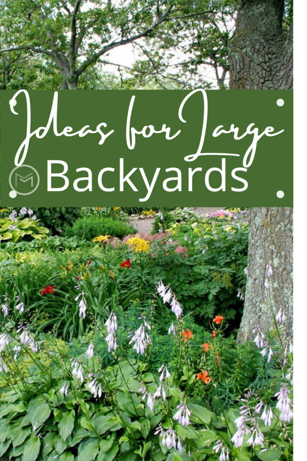ideas for large backyards