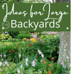 ideas for large backyards